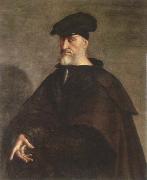 Sebastiano del Piombo portrait of andrea doria oil painting